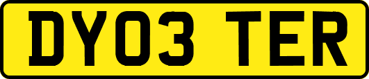 DY03TER