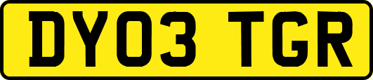 DY03TGR