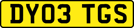 DY03TGS