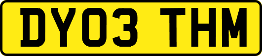 DY03THM