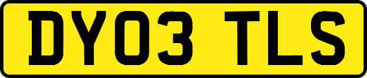 DY03TLS