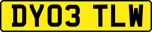 DY03TLW