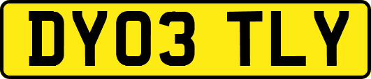 DY03TLY