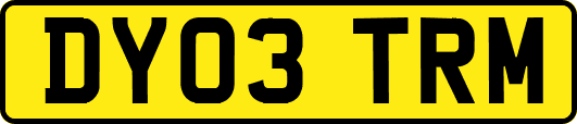 DY03TRM