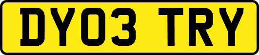 DY03TRY