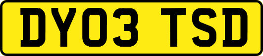 DY03TSD