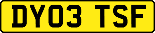 DY03TSF