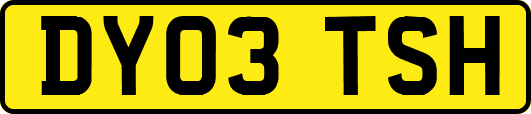 DY03TSH