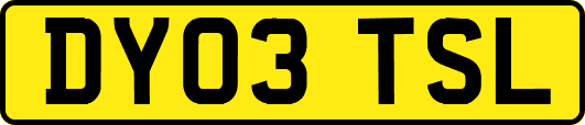 DY03TSL