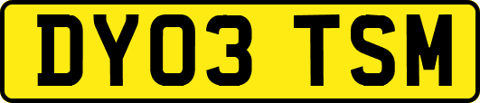 DY03TSM