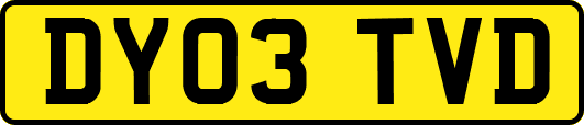 DY03TVD