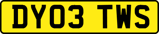 DY03TWS