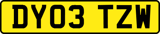 DY03TZW