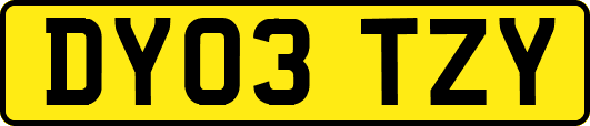 DY03TZY