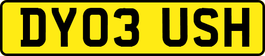 DY03USH