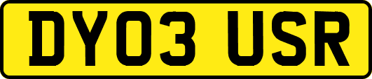 DY03USR