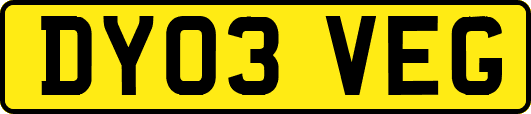 DY03VEG