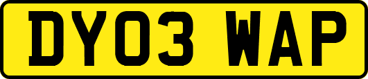 DY03WAP