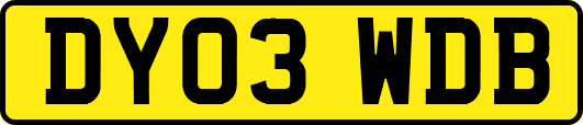 DY03WDB