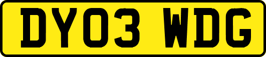 DY03WDG