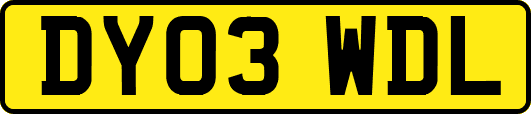 DY03WDL