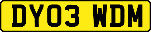 DY03WDM
