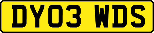 DY03WDS
