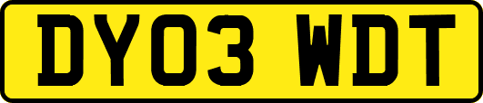 DY03WDT