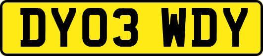 DY03WDY