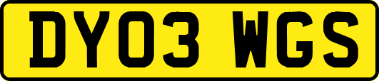 DY03WGS