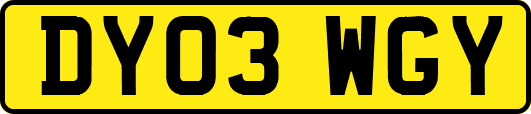 DY03WGY