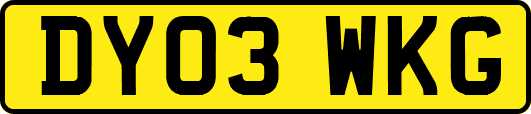 DY03WKG