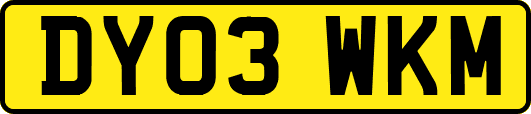 DY03WKM