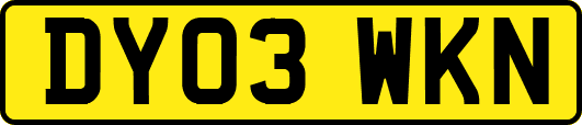 DY03WKN