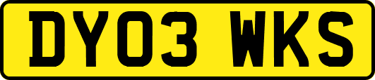 DY03WKS