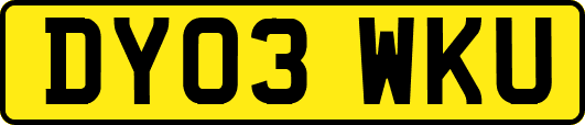 DY03WKU
