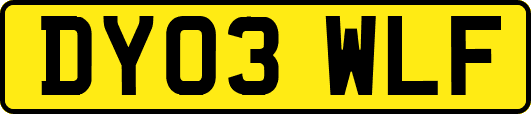 DY03WLF