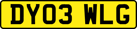 DY03WLG