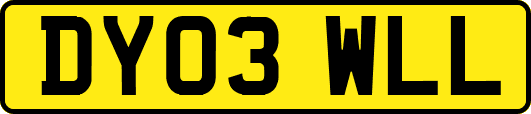 DY03WLL