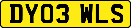 DY03WLS