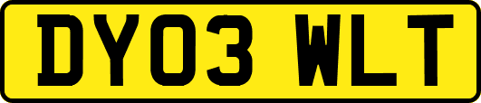 DY03WLT