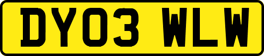 DY03WLW
