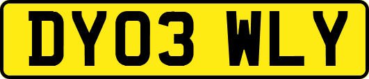 DY03WLY