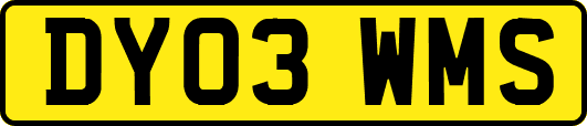 DY03WMS