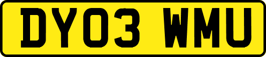 DY03WMU