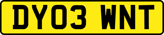 DY03WNT