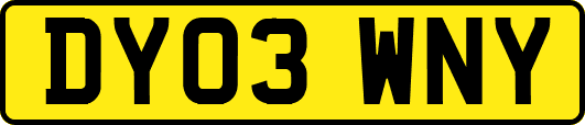 DY03WNY