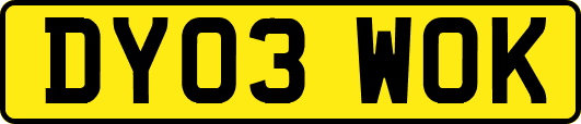 DY03WOK