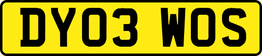 DY03WOS