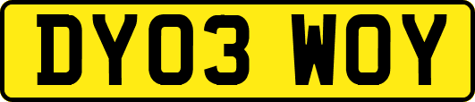 DY03WOY